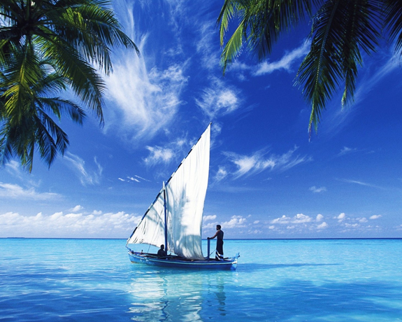 bali tour