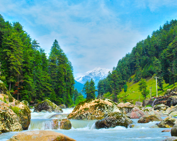 srinagr tours