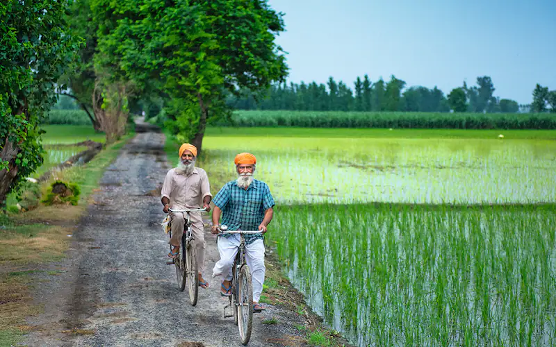 Punjab Village Tour