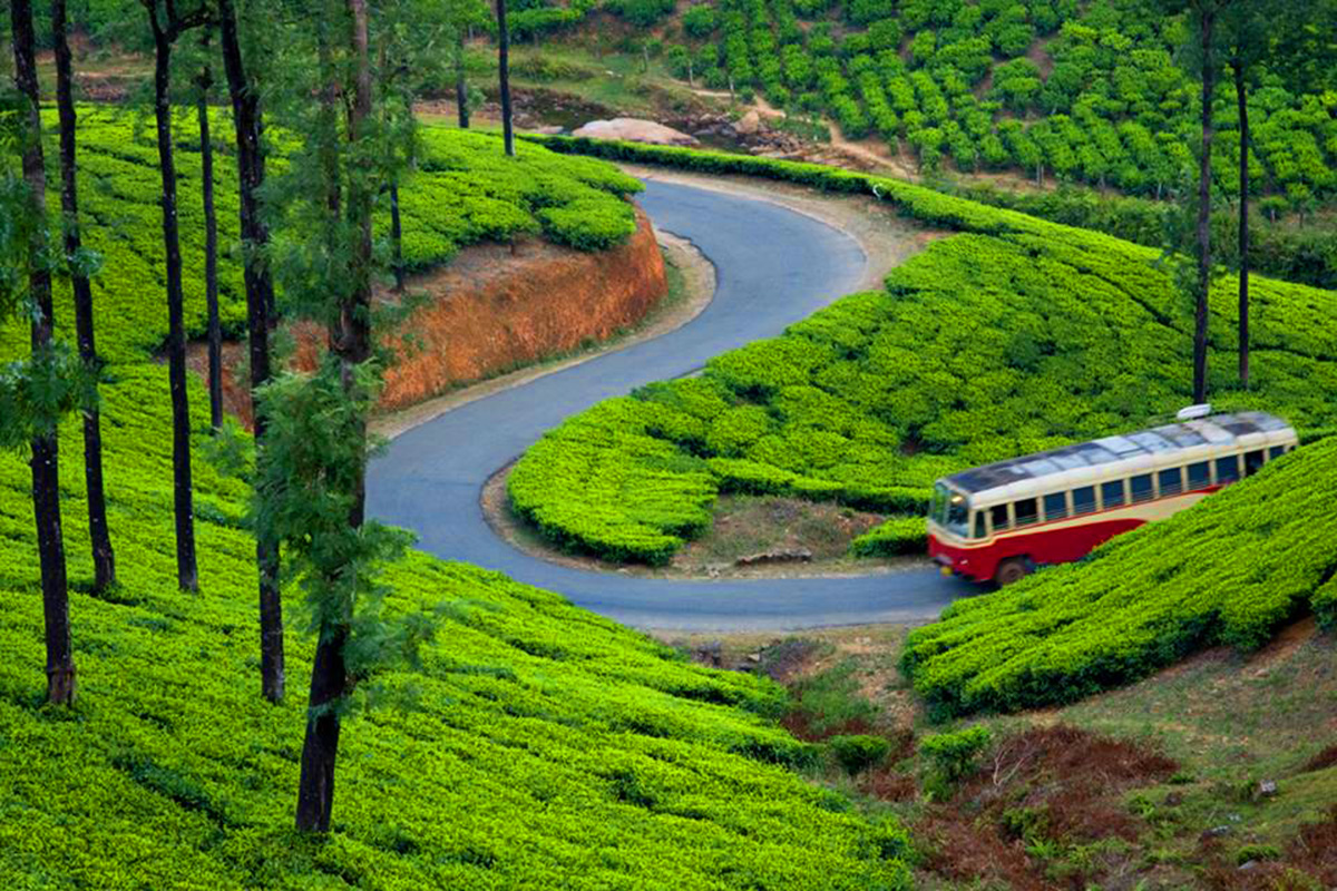 Munnar & Thekkady