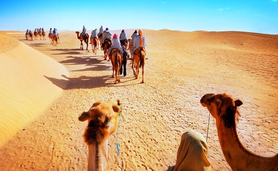Complete Rajasthan
