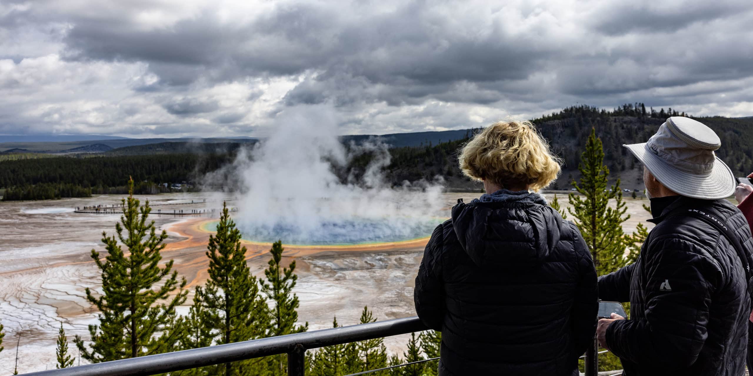 Yellowstone Safari